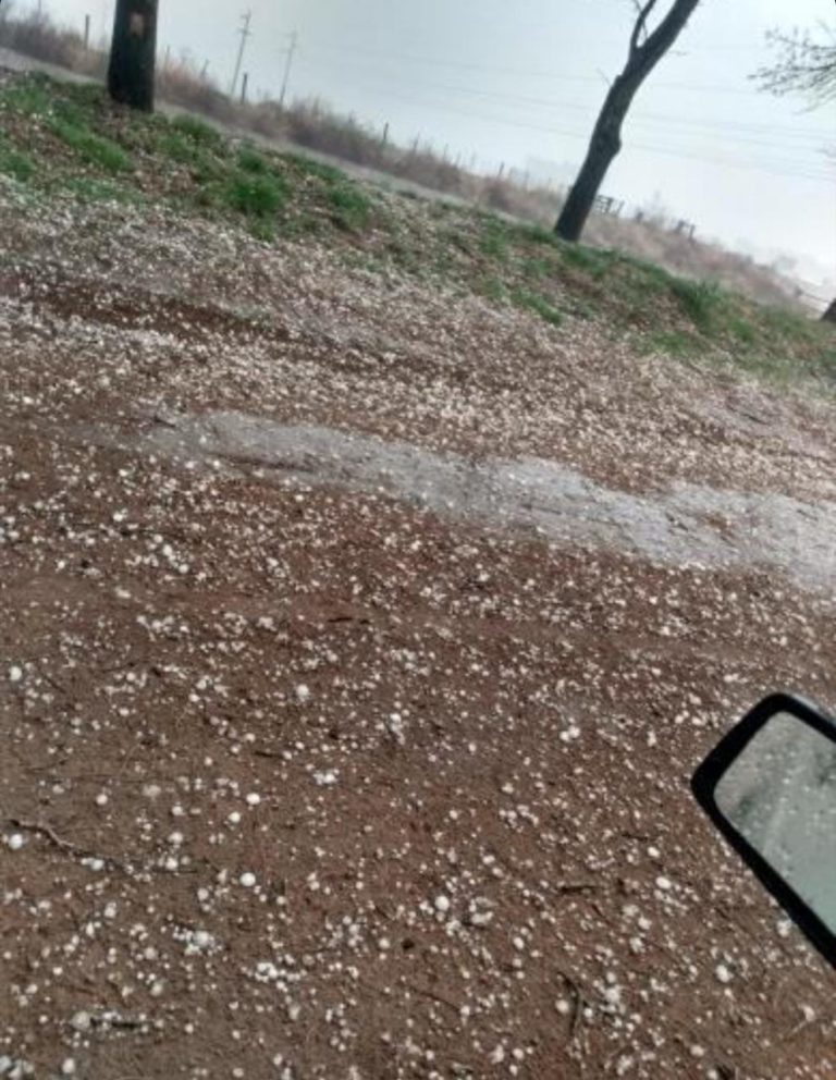 Datos de lluvia de las últimas 24 horas en el Norte de La Pampa: 25 mm en General Pico