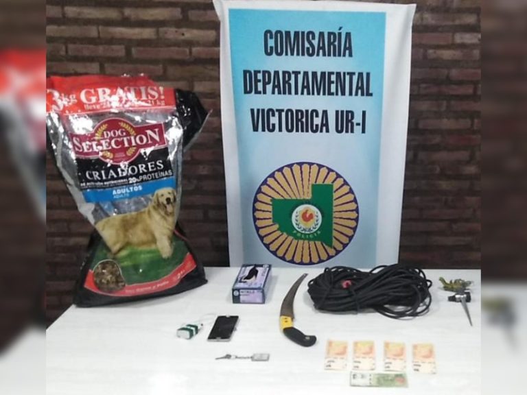 Un empleado municipal de Victorica fue condenado por robar 195 kilos de alimento para perro del hogar canino del municipio y venderlo por $4.600