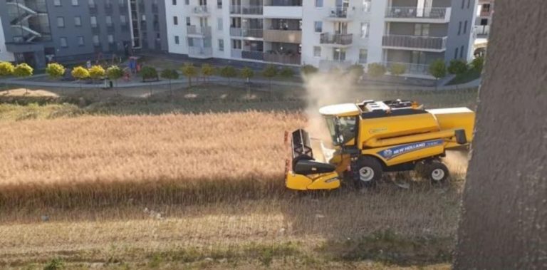 Polonia: se negó a vender su campo y ahora trabaja la tierra en medio de la ciudad