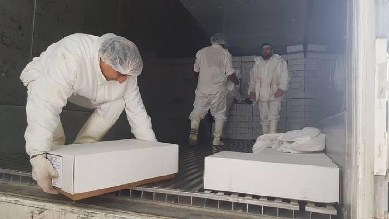 “Es inminente la habilitación sanitaria, religiosa y comercial por parte de Arabia Saudita para comenzar a exportar”, afirman sobren el Frigorífico de Santa Isabel