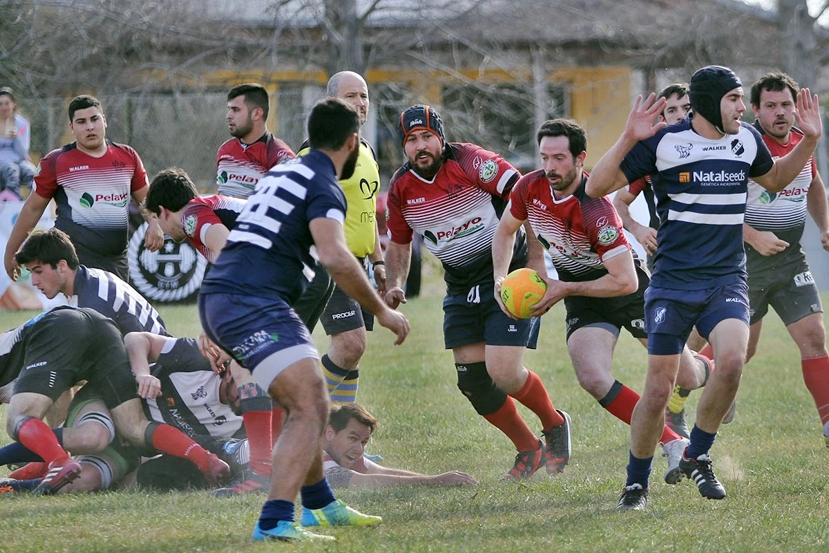 Vuelve la actividad con torneos en el Pico Rugby Club