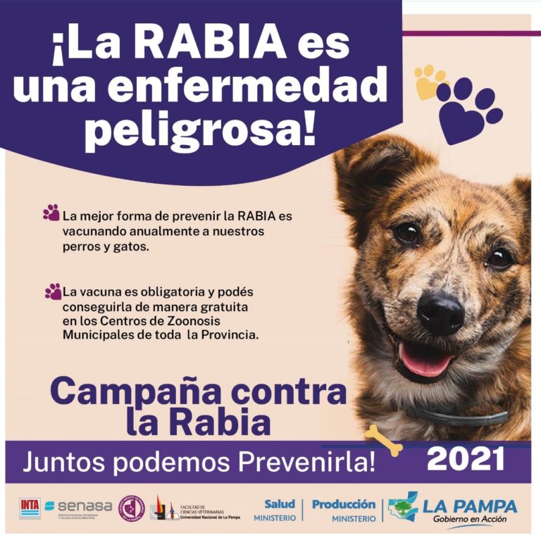Día Mundial contra la rabia: el gobierno pampeano reforzó las medidas preventivas para combatir las enfermedades en los animales