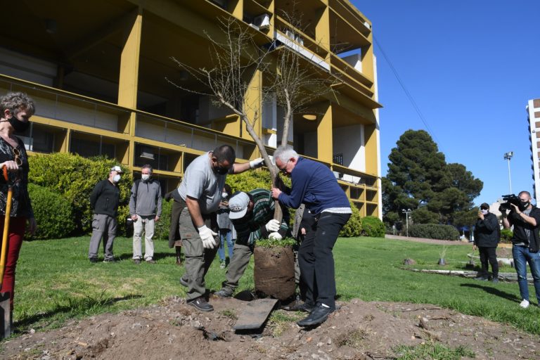 Primera etapa de plantación de especies nativas en el Centro Cívico pampeano
