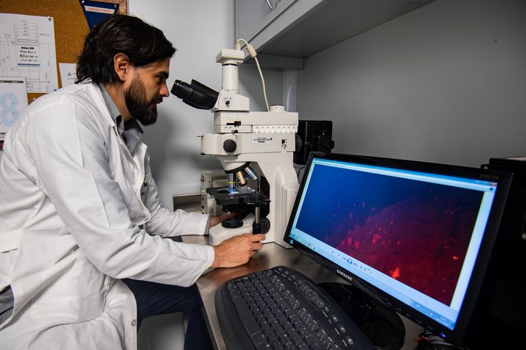 Cuatro pampeanos ingresaron a la carrera de investigador científico de CONICET