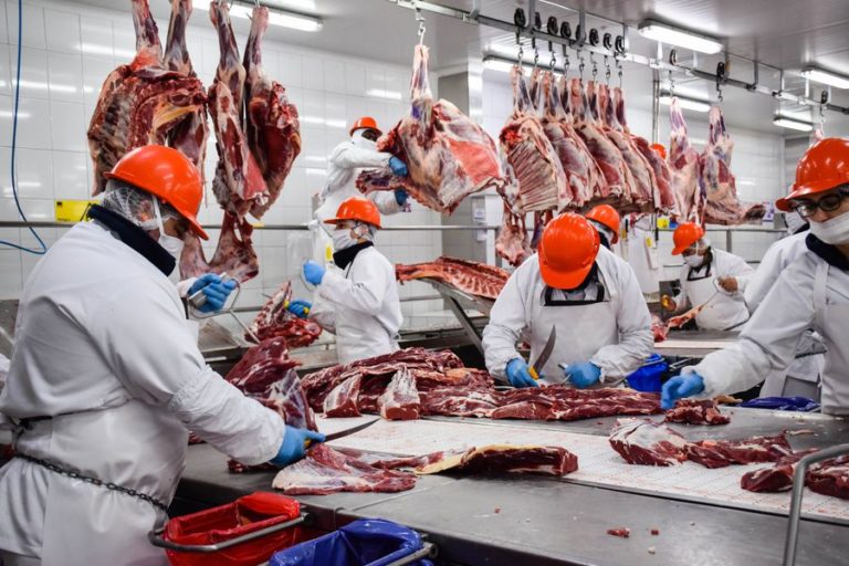 “El cese de las exportaciones de carne es repetirse en el error”, dijo Juan Carlos Marino
