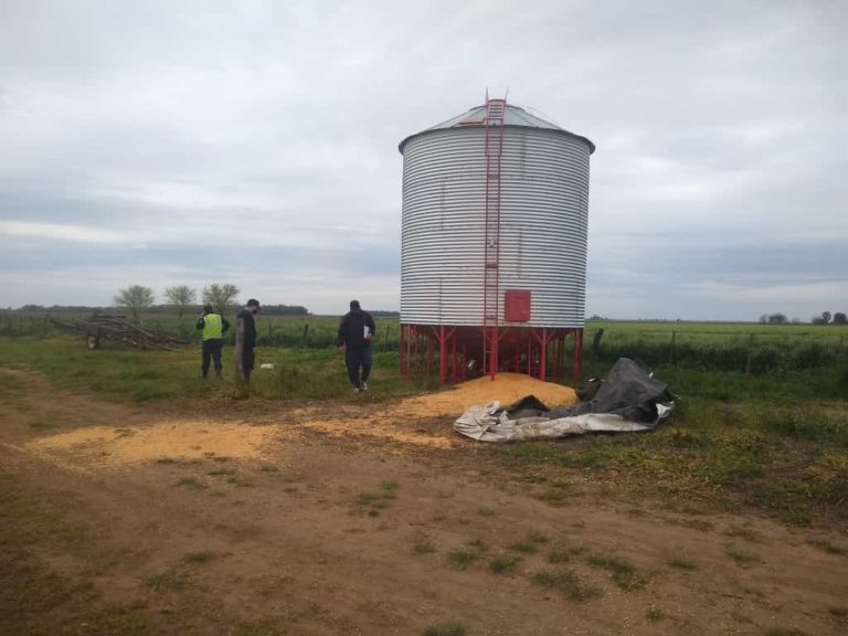Le robaron más de 30.000 kilos de maíz a un productor en un campo entre Pico y Trenel