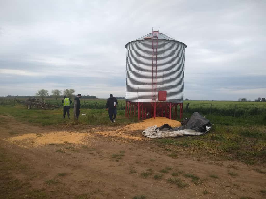 Le robaron más de 30.000 kilos de maíz a un productor en un campo entre Pico y Trenel