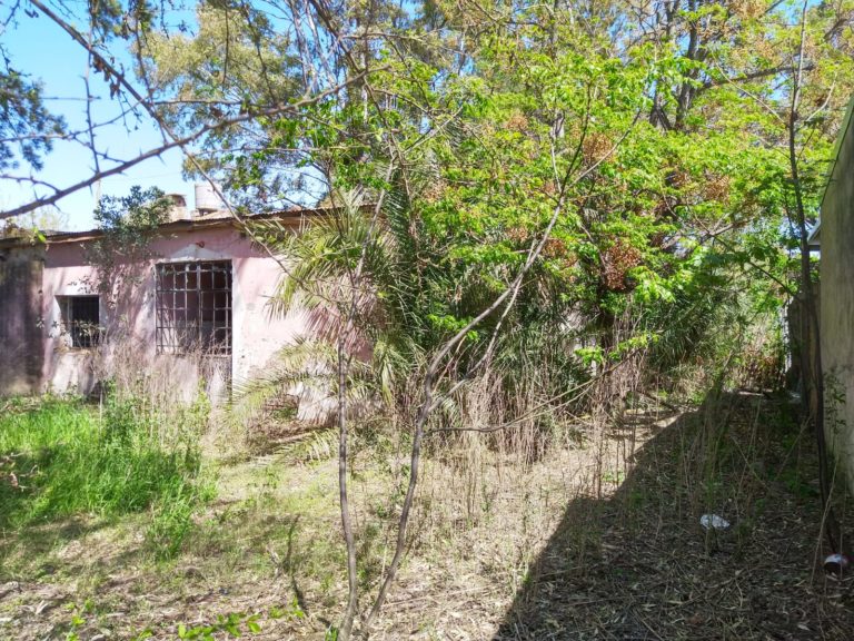 Vecinos reclaman por una casa abandonada tapada por los yuyos, se usa como “baño público”