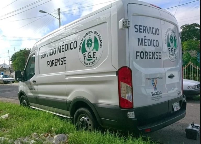 México: se suicidó junto con sus 13 perros para no dejarlos desamparados