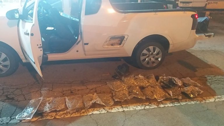 Llevaban casi 10 kilos de marihuana ocultos en una camioneta y gracias al olfato de un can los retuvieron en La Pampa
