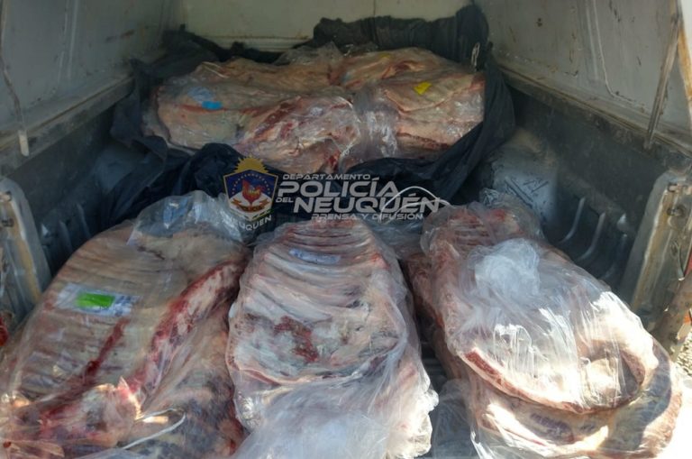 Iban desde La Pampa a Neuquén con más de 80 costillares en la caja de la camioneta