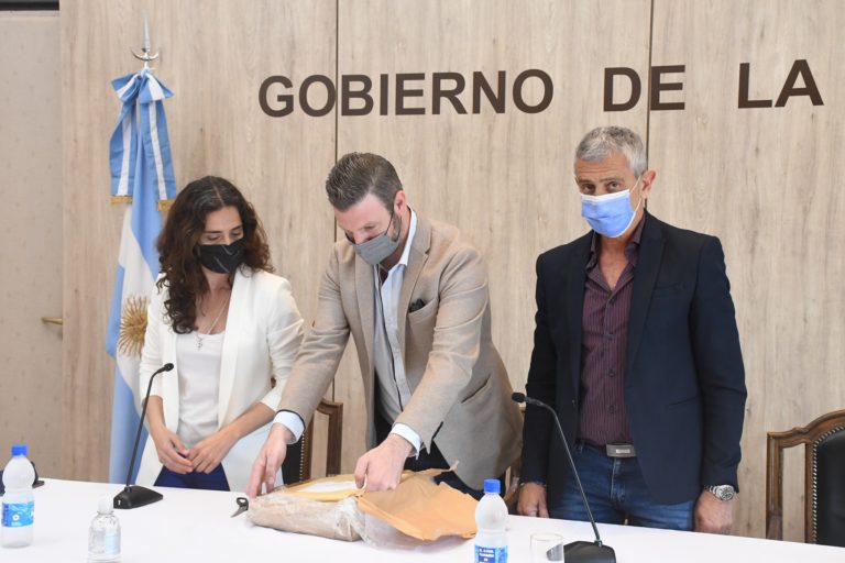 La Provincia licitó el área petrolera Medanito Sur