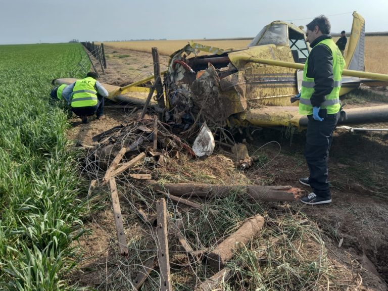 Trabajan los peritos de la JST e investigan las causas donde cayó la avioneta que estaba fumigando y el piloto se salvó milagrosamente