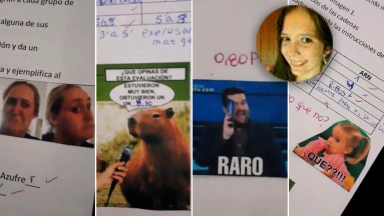 Es maestra, corrigió las pruebas con memes y se hizo viral: “Soy la profe que me hubiera gustado tener”