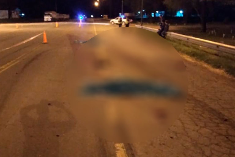 América: dos jóvenes murieron al ser embestidos por un camión en plena ruta