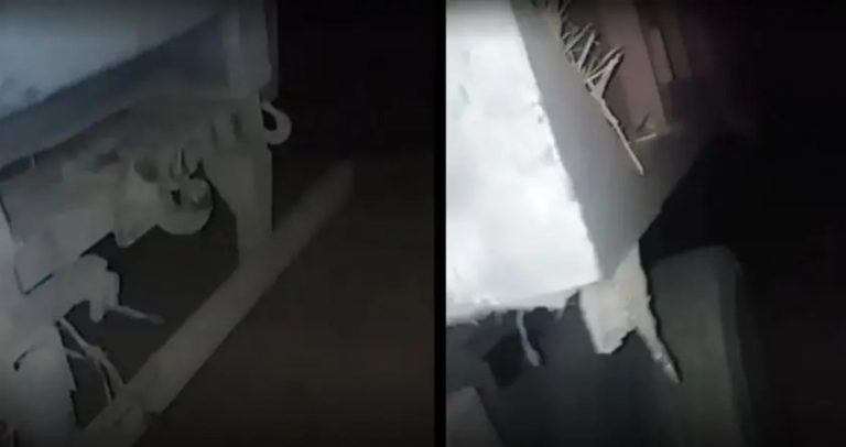 Camionero se bajó en la ruta salteña y grabó a “La Llorona”: se paralizó del miedo
