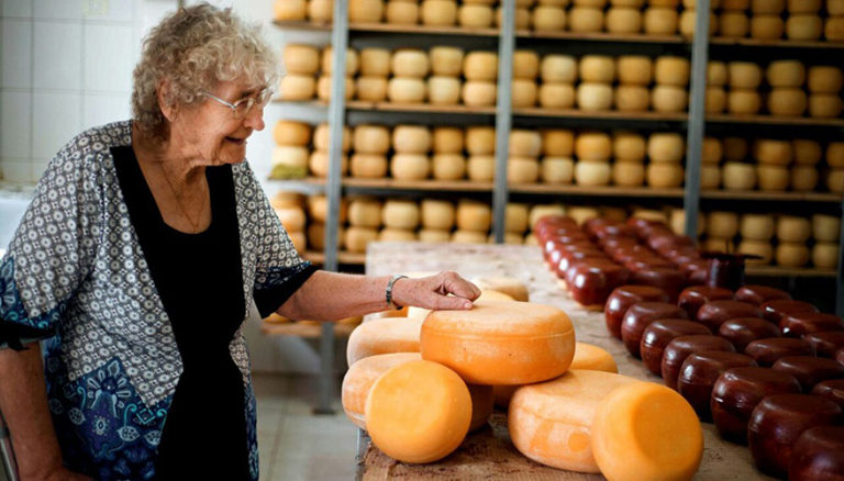 El Fondo de Garantías pampeano otorgó créditos para 522 pymes por $ 652 millones durante 2021