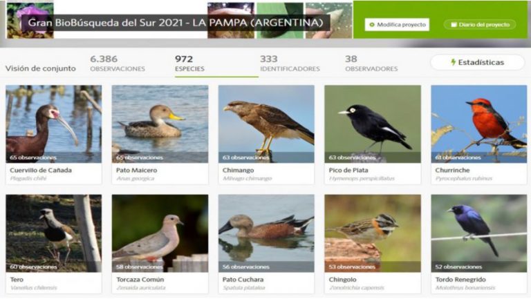 Gran Biobúsqueda: naturalistas pampeanos, entre ellos 3 piquenses, entre los 50 mejores del País