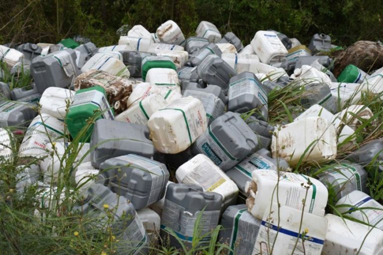 Organizan campaña de recolección de envases de fitosanitarios en Parera