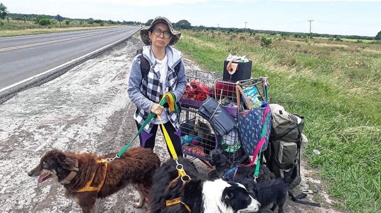 Una familia chaqueña consiguió trabajo en Santa Cruz y viajaron haciendo dedo para no abandonar a sus mascotas