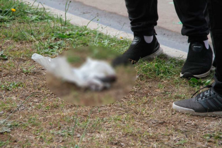 Encontraron el arma con la cual se habrían efectuado los disparos en barrio Federal