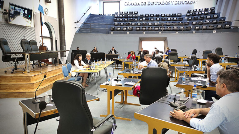 Funcionarios explicaron el procedimiento licitatorio de “Medanito Sur” en Diputados