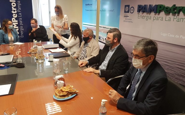 “Medanito Sur”: Pidieron declarar desierta la licitación
