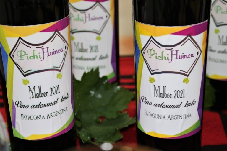 Presentaron en sociedad el vino “Pichi Huinca”, un proyecto que crece y que genera mano de obra