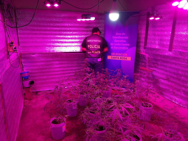 Secuestran marihuana, cocaína y armas de fuego en Santa Rosa