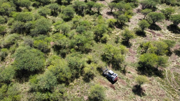 Convocatoria abierta para la presentación de Planes de Manejo y Conservación del Bosque Nativo