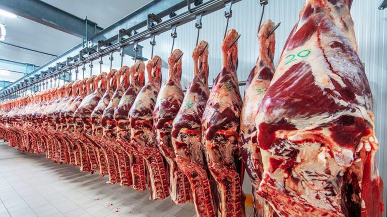 Plan GanAr: La Facultad de Veterinarias se comprometió a trabajar junto al resto de los actores sociales en su implementación