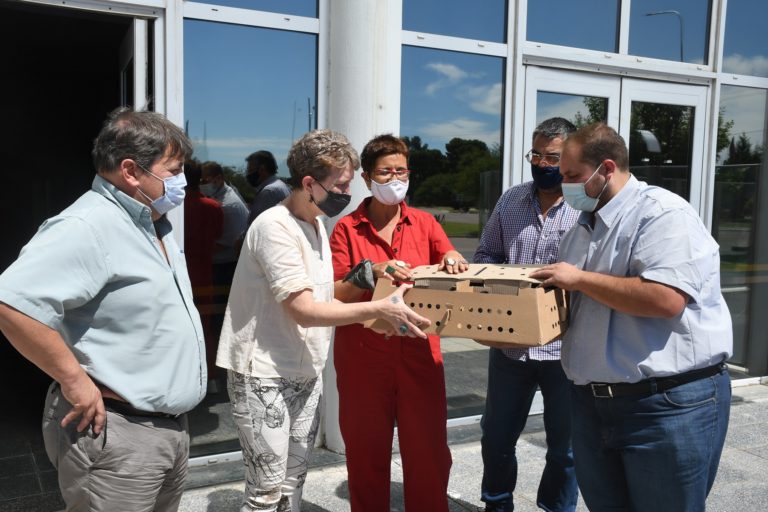 Entregaron 400 gallinas ponedoras a comunidades del Pueblo Rankül