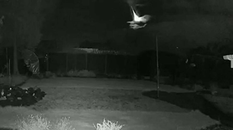 Un meteorito impactó en la Tierra y el momento exacto fue captado por cámaras de seguridad