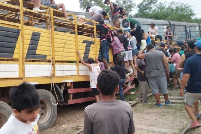 Santiago del Estero: un tren arrolló un camión con vacas y los vecinos las faenaron en el lugar