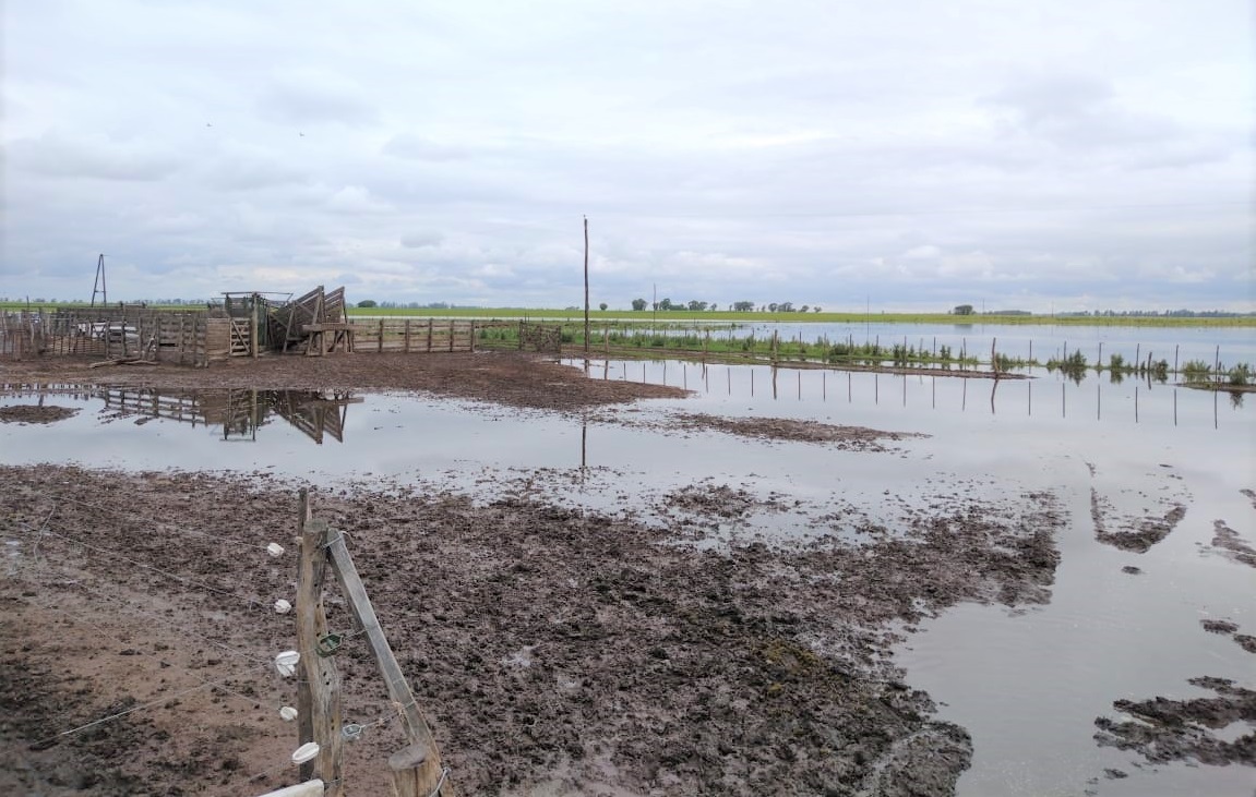 Así están los campos tras las lluvias en el norte provincial: “Los productores de la zona estamos a la deriva” indicó “Chito” Forte