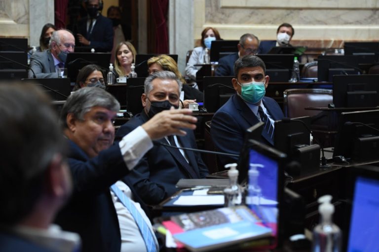 Bensusán pide que el Senado adhiera al Día de la Mujer: “Las cifras de violencia y femicidios siguen interpelándonos como sociedad”