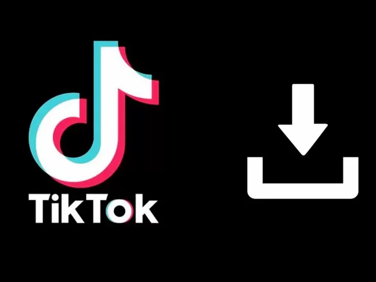 Este es el Descargador de Vídeos de TikTok e Instagram más Eficiente