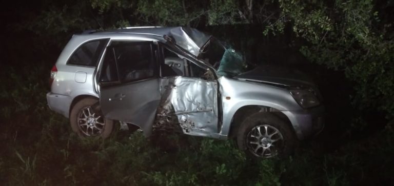 Un auto se despistó y terminó impactando contra unos árboles cerca de Ingeniero Luiggi