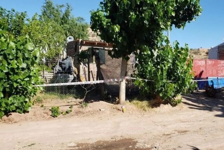 Conmoción en Neuquén por la muerte de un niño de dos años que fue golpeado y abusado