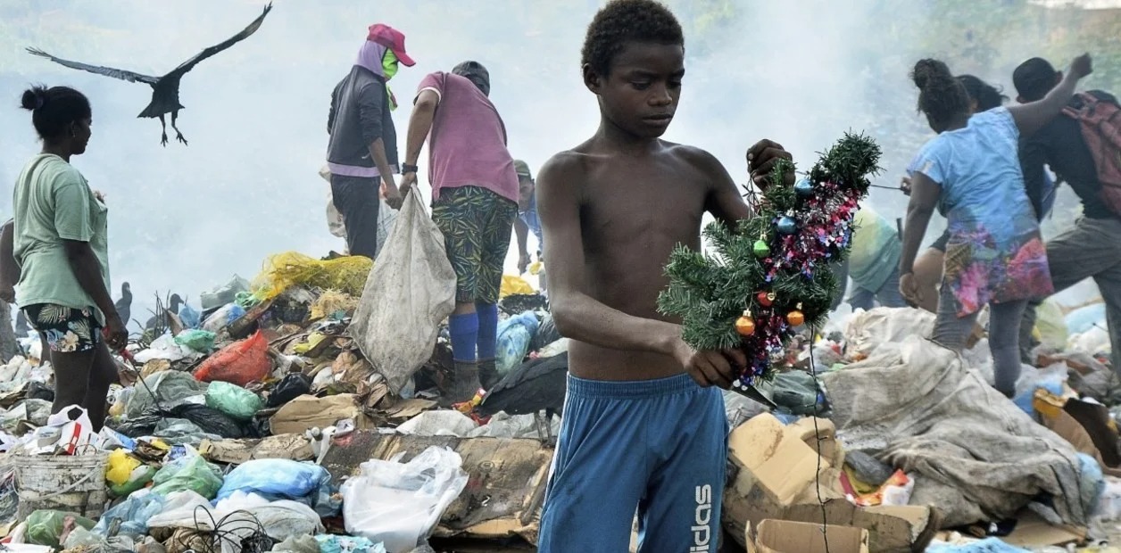 Buscaba comida en un basural en Brasil y encontró un arbolito de Navidad que le cambió la vida