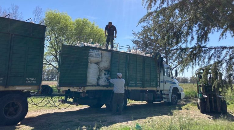 Proyecto “UNLPamBIENTAL”: Realizaron el último envío de ecobotellas del año