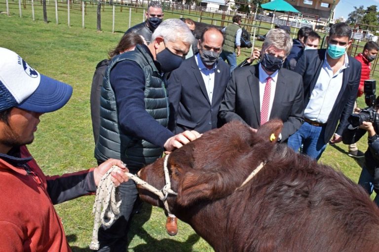 La Pampa recibirá 10 millones de pesos para participar como prueba piloto del programa “Ganadería Argentina Ambientalmente Sostenible”