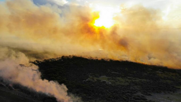 Brigadistas junto a Bomberos Voluntarios contuvieron un incendio en predio rural