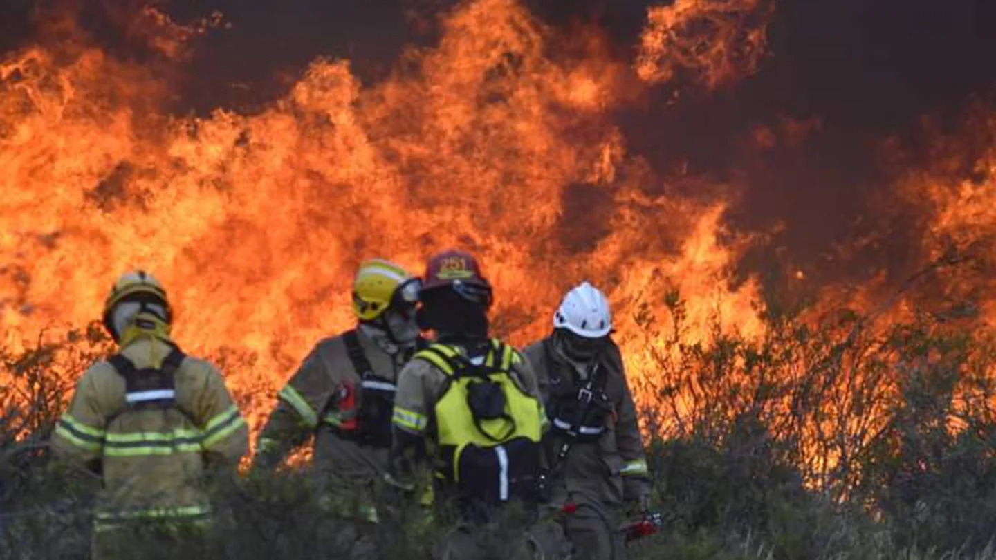 Incendios en Puerto Madryn: hay 77.000 hectáreas quemadas y el fuego se acerca a la península Valdés