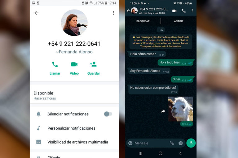 ¡ALERTA ESTAFA!: se hacen pasar por la intendenta de General Pico para una supuesta venta de dólares por whatsapp