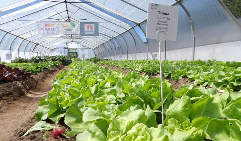 El CERET se prepara para la 24° Jornada Hortícola en el Parque Industrial de General Pico