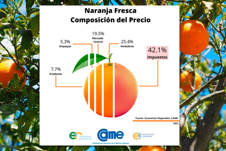 ¿Cómo sacarle más jugo a la naranja?: el productor es el único actor de la cadena de valor que no presenta ganancias