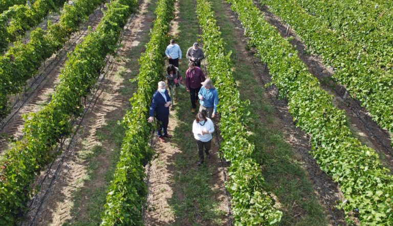 Ziliotto confirmó que el 29 de marzo se licitará la bodega de Casa de Piedra con un presupuesto de $ 996 millones