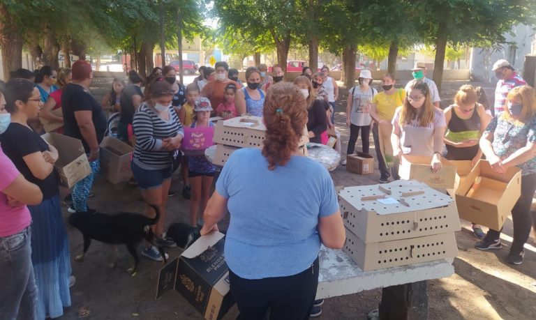 Empezó la entrega de ponedoras a localidades pampeanas