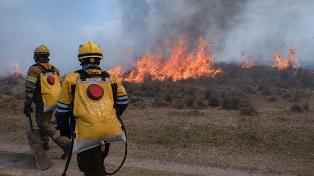 Este año se redujo la mitad de hectáreas dañada por los incendios en La Pampa comparando con el 2021